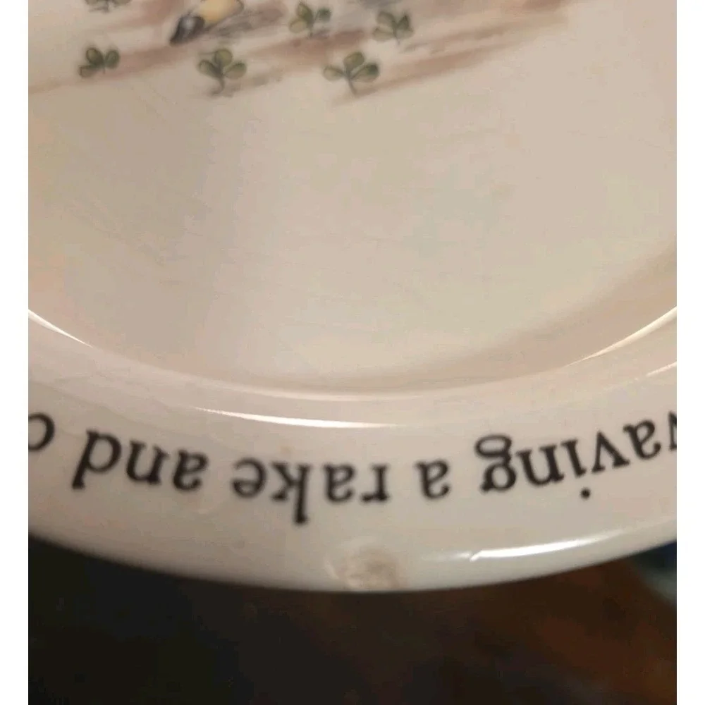 Vintage Wedgwood Beatrix Potter Peter Rabbit 7